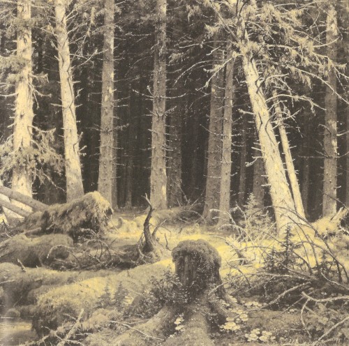 Klabautamann - Der Ort